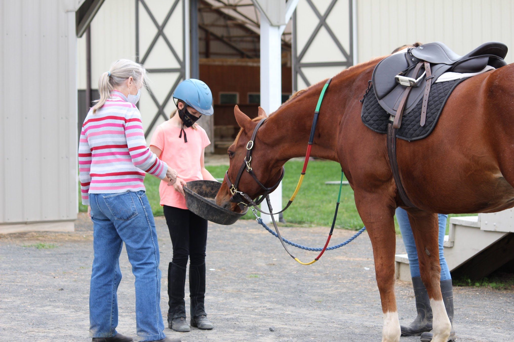 Equine Assisted Therapy Instructor
